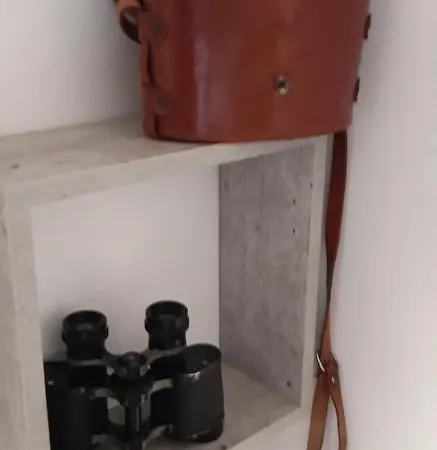 Elsa. Apartamento