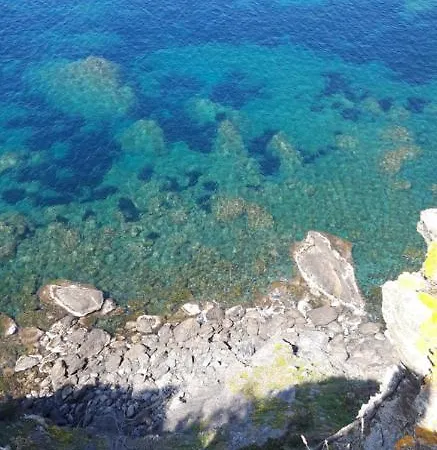 Elsa. * La Ciotat