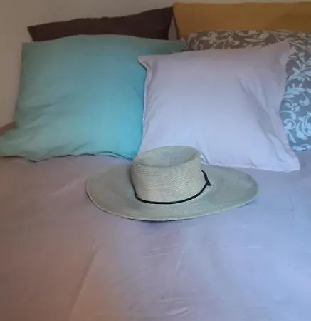 Elsa. Apartamento
